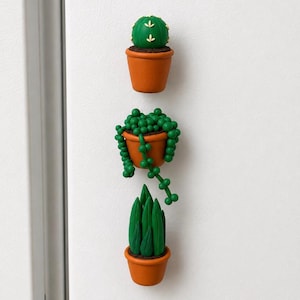 May include: A set of three decorative magnets shaped like potted plants. The top magnet is a round green cactus, the middle is a trailing string of pearls plant with green beads, and the bottom is a tall, pointed green succulent in a brown pot.