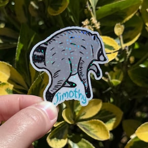 Jimothy the raccoon sticker, Jimothy raccoon Seattle sticker, holographic vinyl sparkly waterproof sticker, Viral Jimothy Raccoon from Ballard in Seattle, WA hand drawn as a sticker with his name Jimothy written below. No AI used in making the Jimothy sticker!