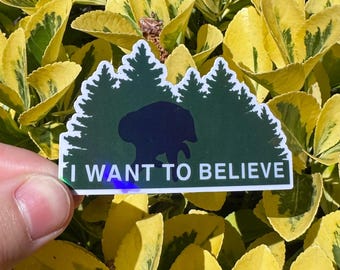 Jimothy I Want To Believe Sticker, Jimothy Bumper Sticker, Jimothy the Raccoon Sticker, Viral Raccoon Sticker, Cryptid Sticker