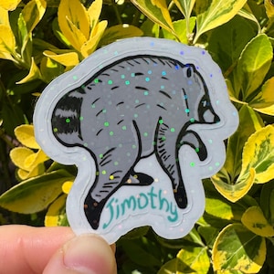 Jimothy the raccoon sticker, Jimothy raccoon Seattle sticker, holographic vinyl sparkly waterproof sticker, Viral Jimothy Raccoon from Ballard in Seattle, WA hand drawn as a sticker with his name Jimothy written below. No AI used in making the Jimothy sticker!