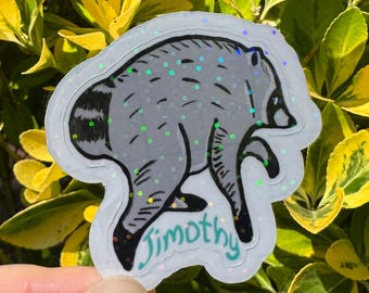 Adesivo Jimothy il procione, adesivo Jimothy, adesivo olografico in vinile impermeabile, simpatico adesivo di animali di Seattle PNW, adesivo virale del procione