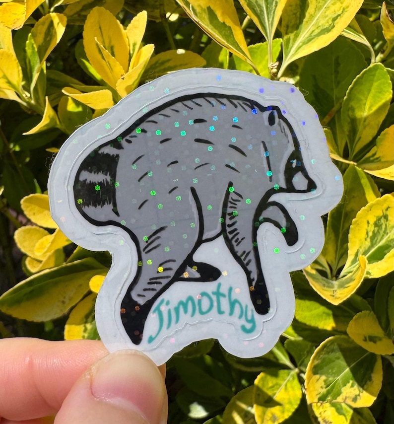 Jimothy the raccoon sticker, Jimothy raccoon Seattle sticker, holographic vinyl sparkly waterproof sticker, Viral Jimothy Raccoon from Ballard in Seattle, WA hand drawn as a sticker with his name Jimothy written below. No AI used in making the Jimothy sticker!