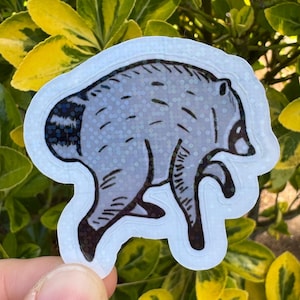 Jimothy the raccoon sticker, Jimothy raccoon Seattle sticker, holographic vinyl sparkly waterproof sticker, Viral Jimothy Raccoon from Ballard in Seattle, WA hand drawn as a sticker, No AI used in making the Jimothy sticker!