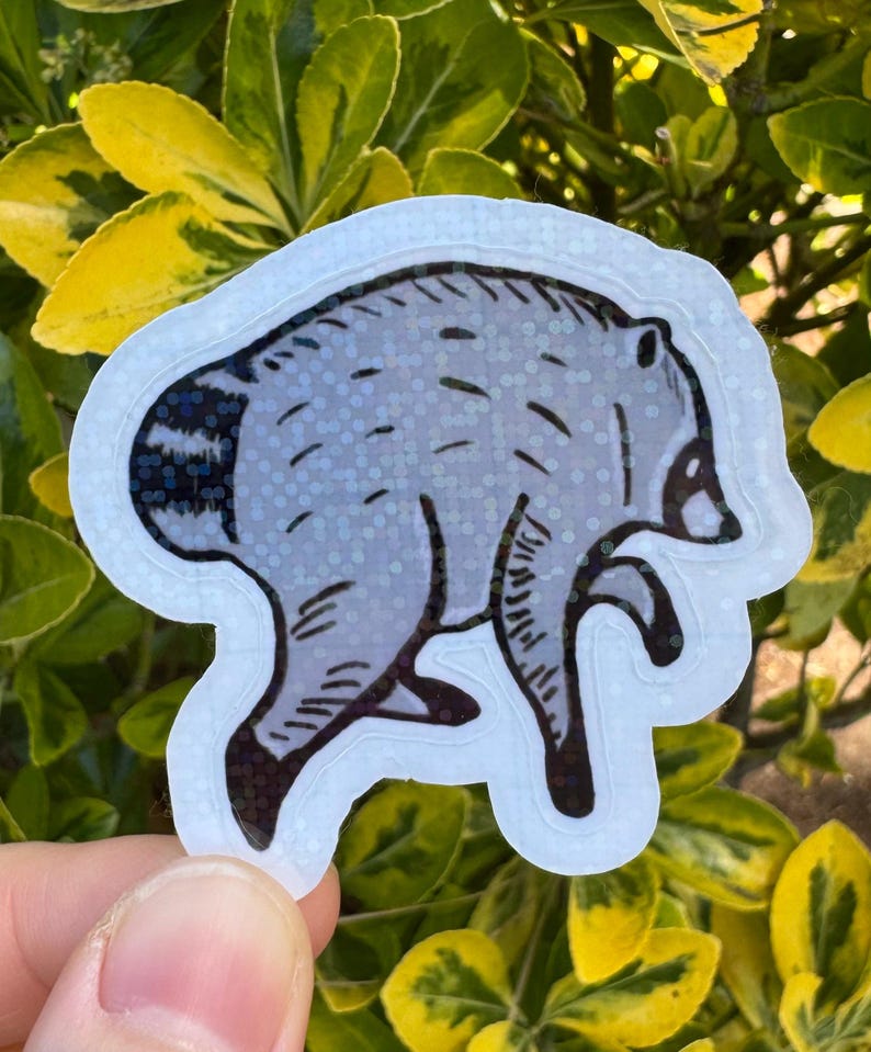 Jimothy the raccoon sticker, Jimothy raccoon Seattle sticker, holographic vinyl sparkly waterproof sticker, Viral Jimothy Raccoon from Ballard in Seattle, WA hand drawn as a sticker, No AI used in making the Jimothy sticker!