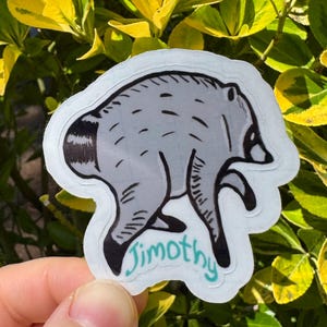 Jimothy the raccoon sticker, Jimothy raccoon Seattle sticker, holographic vinyl sparkly waterproof sticker, Viral Jimothy Raccoon from Ballard in Seattle, WA hand drawn as a sticker with his name Jimothy written below. No AI used in making the Jimothy sticker!