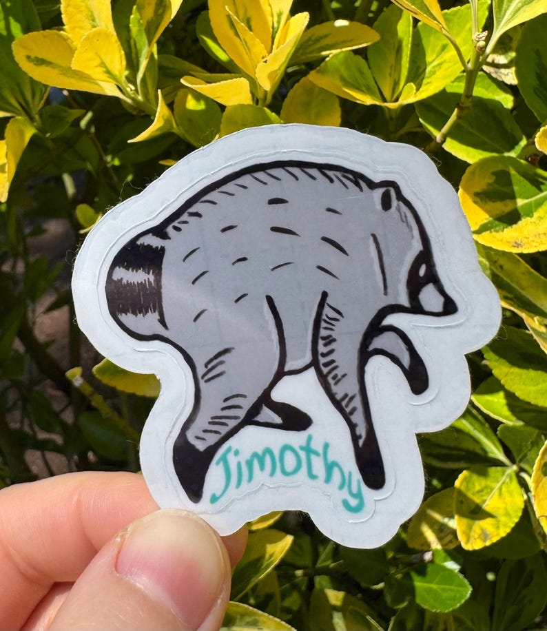 Jimothy the raccoon sticker, Jimothy raccoon Seattle sticker, holographic vinyl sparkly waterproof sticker, Viral Jimothy Raccoon from Ballard in Seattle, WA hand drawn as a sticker with his name Jimothy written below. No AI used in making the Jimothy sticker!