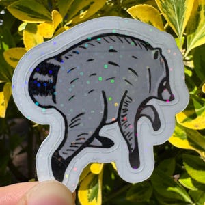 Jimothy the raccoon sticker, Jimothy raccoon Seattle sticker, holographic vinyl sparkly waterproof sticker, Viral Jimothy Raccoon from Ballard in Seattle, WA hand drawn as a sticker, No AI used in making the Jimothy sticker!