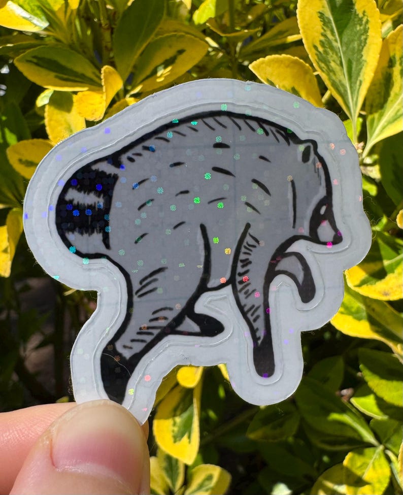 Jimothy the raccoon sticker, Jimothy raccoon Seattle sticker, holographic vinyl sparkly waterproof sticker, Viral Jimothy Raccoon from Ballard in Seattle, WA hand drawn as a sticker, No AI used in making the Jimothy sticker!