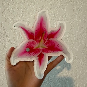 Puede incluir: Una flor de lirio decorativa con vibrantes pétalos rosas y bordes blancos. La flor tiene un diseño detallado con un pequeño imán plateado adjunto. La flor se sostiene en una mano contra una pared blanca texturizada.