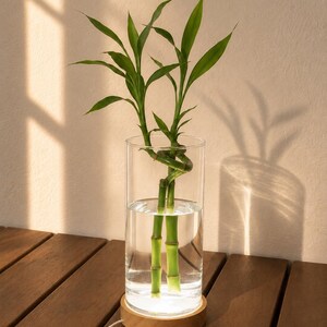 Wooden LED Display Base for Vases | Modern Minimalist Illuminated Stand