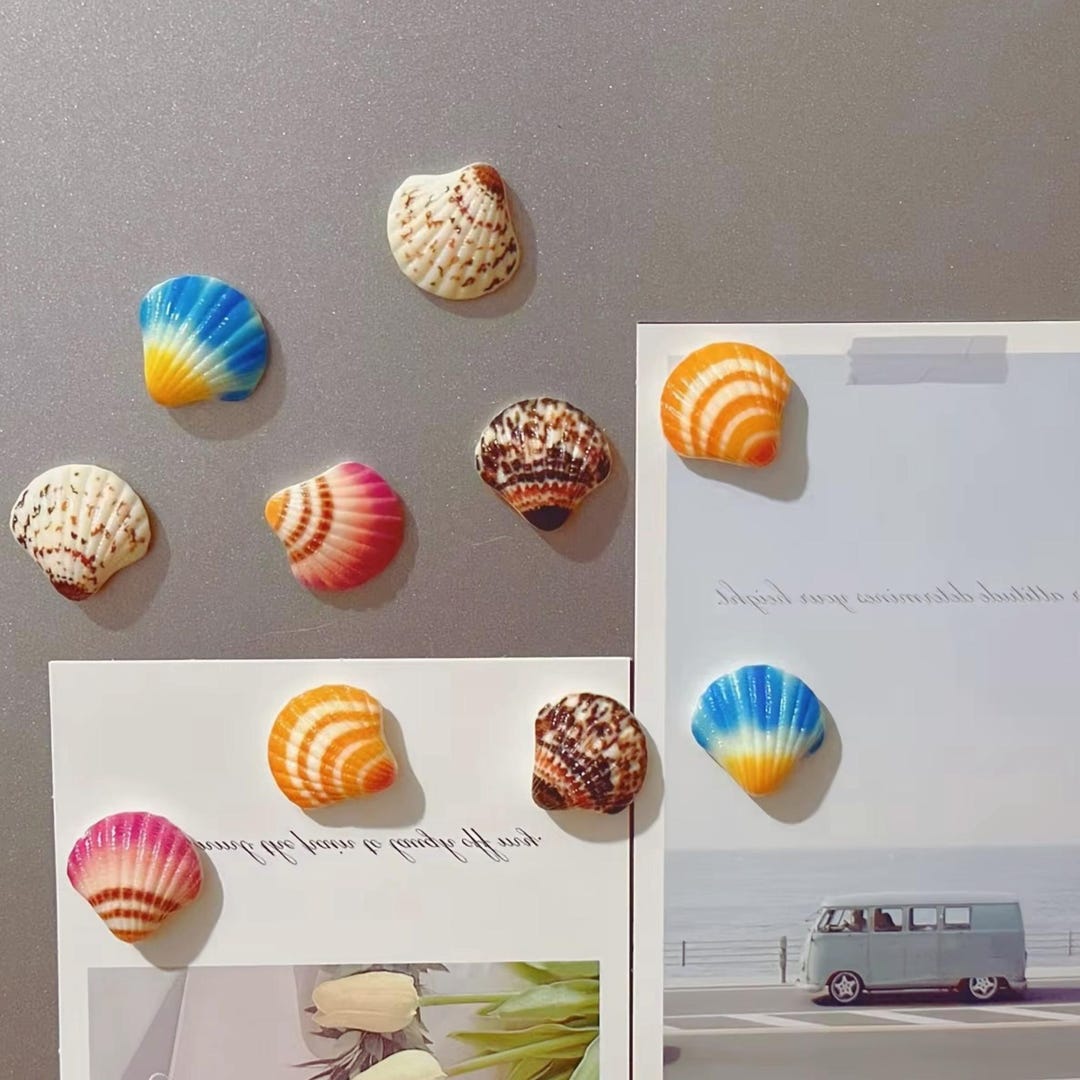 Seashell Fridge Magnets Set Cute Beach Shell Magnets Coastal Kitchen ...