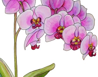 Orchid Painting Original Watercolor and Ink Unframed Wall Art