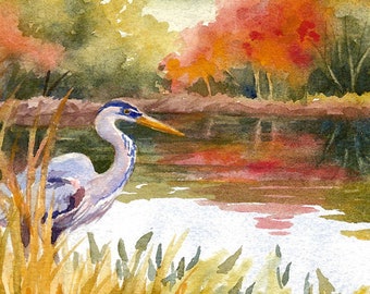 Great blue heron art print autumn watercolor painting pond decor by Janet Zeh  Home decor