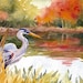 see more listings in the Herons & Koi Fish Prints section
