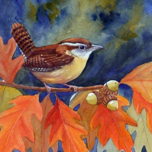 Bird art print carolina wren in oak tree autumn leaves fall watercolor print by Janet Zeh Original Art Home decor