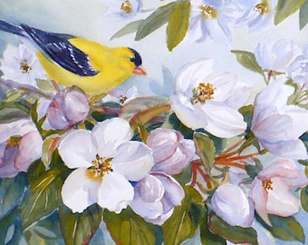 Goldfinch yellow bird art print apple blossoms flower print nature wall art by Janet Zeh Home decor