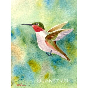 hummingbird print bird wall art humming bird watercolor painting by Janet Zeh Home decor