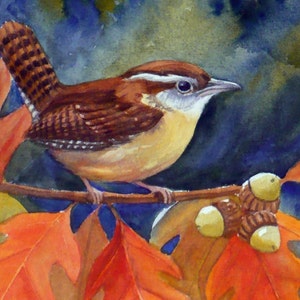 Bird art print carolina wren in oak tree autumn leaves fall watercolor print by Janet Zeh Original Art Home decor image 2