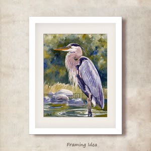 Great Blue Heron Watercolor Print Bird Wall Art Decor by Janet Zeh image 4