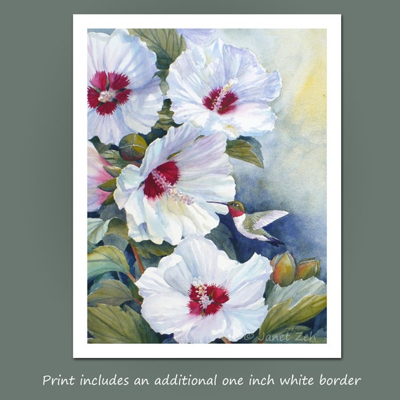 Hummingbird Watercolor Print White Hibiscus Flower Wall Art Ruby