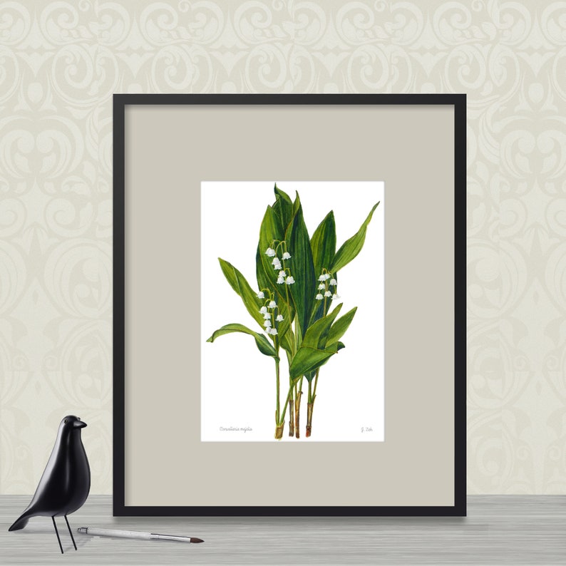 Lily of the Valley botanical print Convallaria majalis floral wall art illustration Watercolor flower home decor by Janet Zeh image 7