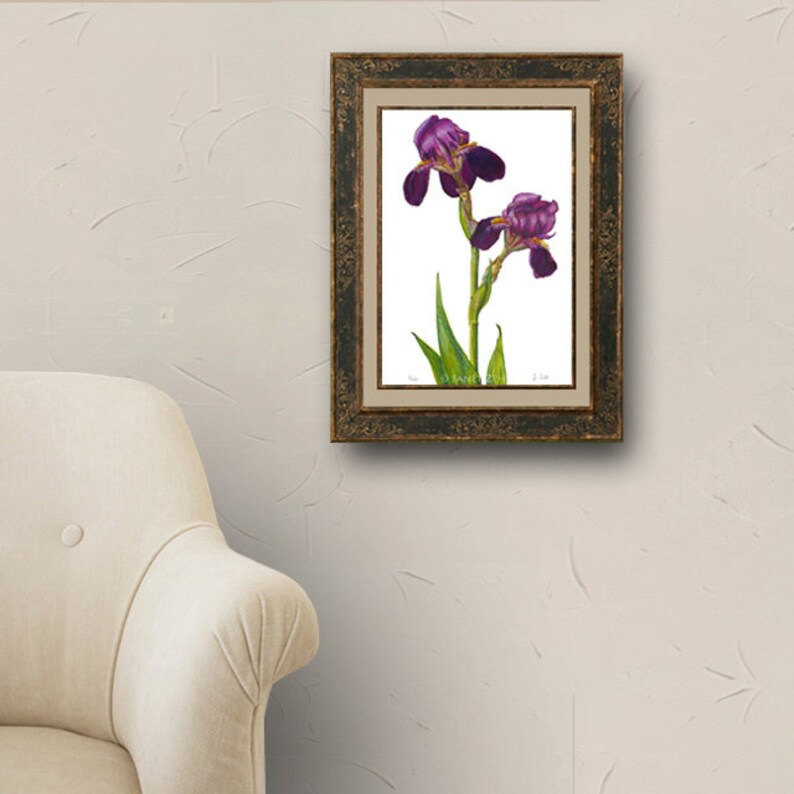 May include: Framed watercolor painting of two purple irises with green stems and leaves on a white background.
