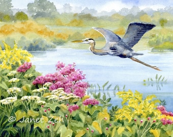 Great blue heron print from watercolor painting wall art decor by Janet Zeh