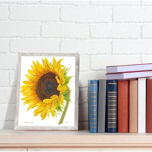 May include: A framed watercolor painting of a sunflower with yellow petals and a dark brown center. The sunflower is facing to the right and the stem is green. The painting is on a white background and is framed in a light wood frame.