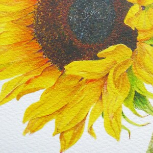 May include: Close-up of a sunflower with yellow petals and a dark brown center. The petals are slightly curled and the center is textured.