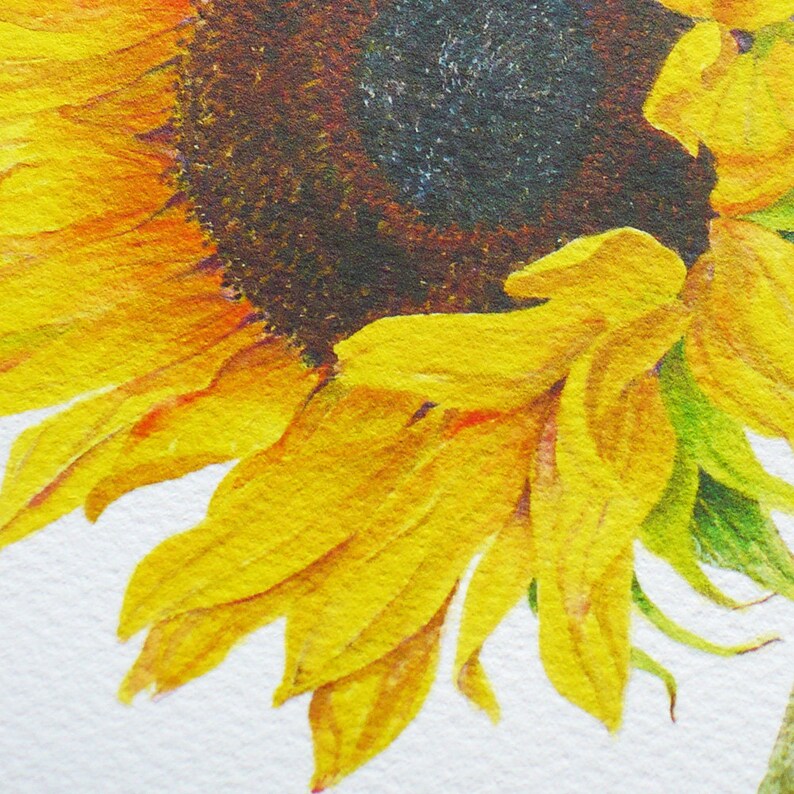 May include: Close-up of a sunflower with yellow petals and a dark brown center. The petals are slightly curled and the center is textured.