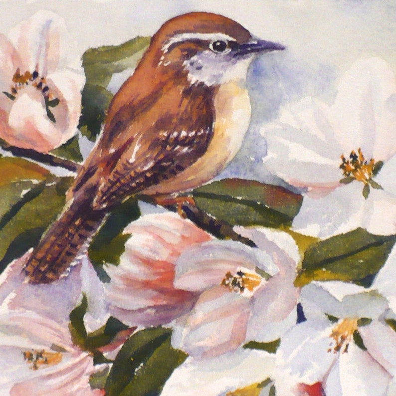 May include: Watercolor painting of a small brown bird perched among white and pink blossoms with green leaves. The bird has a white stripe above its eye and a light-colored breast. The flowers have yellow centers.