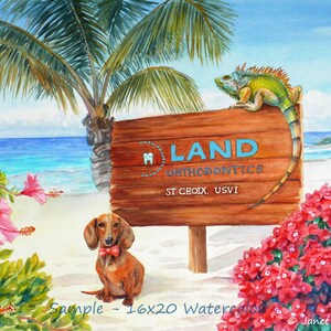 May include: A watercolor painting of a beach scene with a wooden sign that reads "Island Orthodontics, St. Croix, USVI". A green iguana is perched on the sign, and a dachshund wearing a red bow tie is sitting in the sand. There are pink hibiscus flowers and red bougainvillea flowers in the foreground.