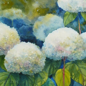 Annabelle Hydrangeas Print White Flower Watercolor Wall Art by Janet Zeh Unframed