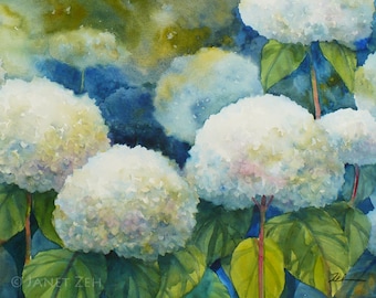 Annabelle Hydrangeas Print White Flower Watercolor Wall Art by Janet Zeh Unframed