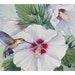 see more listings in the Bird & Flower Prints section
