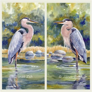 Great Blue Heron Set of Two Prints on watercolor paper Green gold gray large bird vertical wall art from watercolor painting by Janet Zeh
