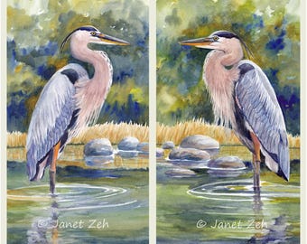 Great Blue Heron Set of Two Prints on watercolor paper Green gold gray large bird vertical wall art from watercolor painting by Janet Zeh