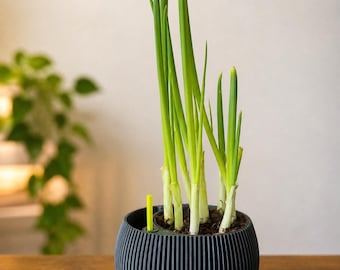 Modern self-watering planter, 3D printed