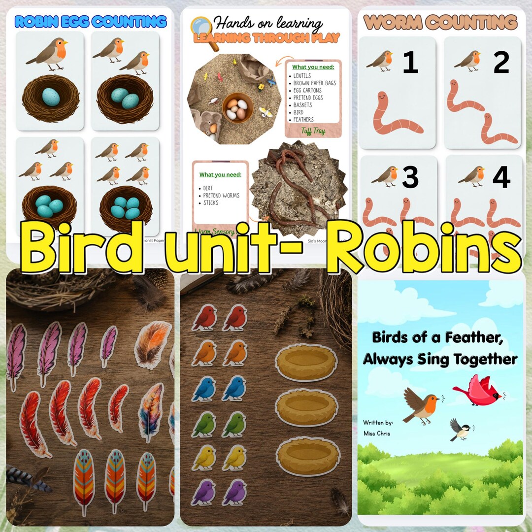 Preschool Robin Bird Unit Study | Counting, Sorting, Nesting Games ...