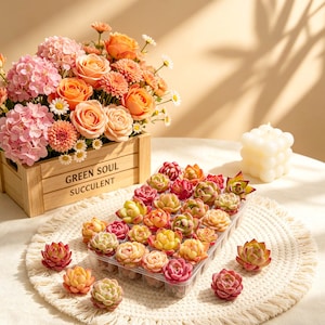 May include: A wooden crate with the text "GREEN SOUL SUCCULENT" holds a vibrant arrangement of pink and orange flowers. A clear plastic tray displays numerous small, colorful succulents. A white candle and a decorative mat complete the scene.