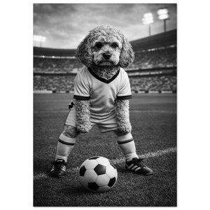 Peut inclure: Une photographie en noir et blanc d'un chien aux poils bouclés debout sur un terrain de football. Le chien porte un maillot à manches courtes, un short assorti, des chaussettes hautes et des chaussures de sport. Un ballon est posé sur l'herbe.