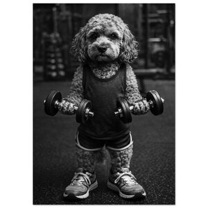 Può includere: Immagine in bianco e nero di un cane in palestra. Il cane indossa una canotta grigia, pantaloncini neri con bordi bianchi e scarpe da ginnastica. Sta tenendo due manubri, come se si stesse allenando.