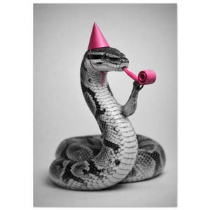 Könnte beinhalten: Ein Graustufenbild einer Schlange mit einer rosa Partyhütchen und einer rosa Tröte. Die Schlange ist aufgerollt, mit erhobenem Kopf und Oberkörper. Die Tröte ist in ihrem Maul, und der Hintergrund ist schlicht.