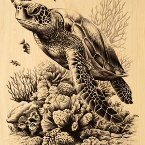 May include: A light-coloured wooden panel featuring a detailed black ink illustration of a sea turtle swimming above a coral reef. The artwork depicts the turtle with textured scales, surrounded by small fish and various coral formations.