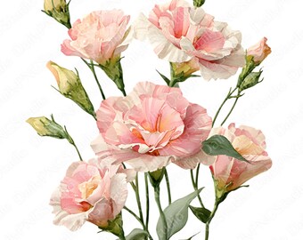 Pacchetto di clipart di lisianthus rosa cipria / 20 PNG Lisianthus ad acquerello PNG, clipart floreali rosa, illustrazione floreale elegante, uso commerciale