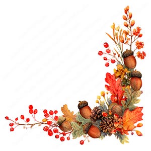 Könnte beinhalten: Eine Aquarellillustration eines herbstlichen Eckarrangements mit braunen Eicheln mit strukturierten Kappen, dunkelbraunen Tannenzapfen, leuchtend roten und orangefarbenen Eichenblättern sowie dünnen Zweigen mit kleinen roten Beeren und gelben Blüten.