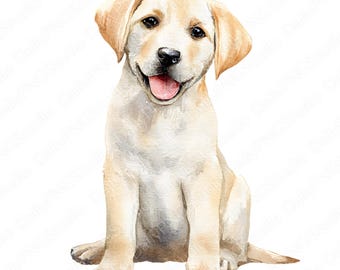 Labrador-clipartbundel | 15 png-aquarel labrador puppy png, schattige hond clipart, commercieel gebruik