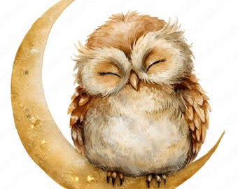 Maanuil clipartbundel | 25 png-aquarel uil PNG, hemelse uil-clipart, commercieel gebruik
