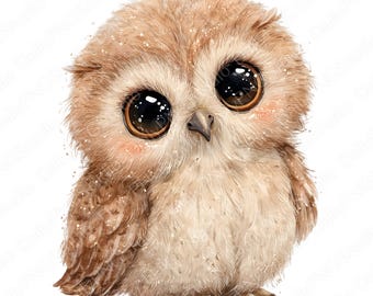Babyuil clipartbundel | Schattige uil aquarel png, bos dieren clipart, kawaii uil png, decor kinderkamer, commercieel gebruik