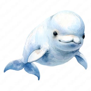 Pode incluir: Uma ilustração em aguarela de uma beluga com um corpo liso branco e azul claro, uma testa arredondada, olhos escuros e uma boca pequena. A baleia é representada numa posição de natação com as barbatanas caudais e laterais visíveis.
